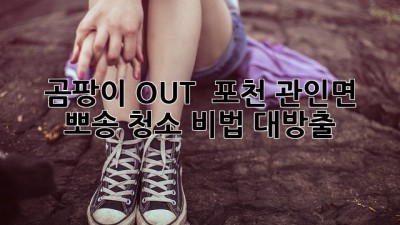곰팡이 OUT! 🏡✨ 포천 관인면 뽀송 청소 비법 대방출